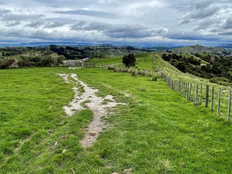 643 Glengarry Road Puketapu_18