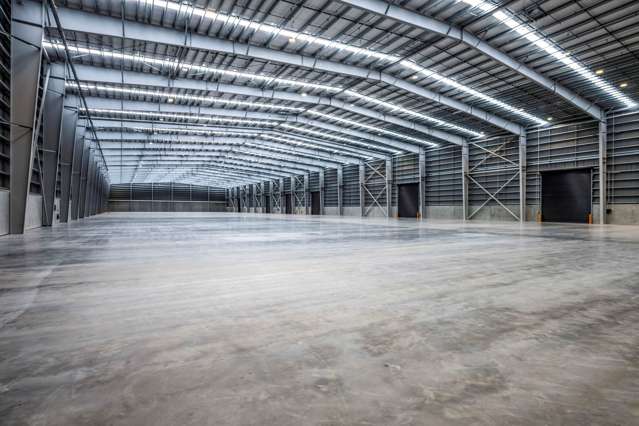 Neilson Street Onehunga_2