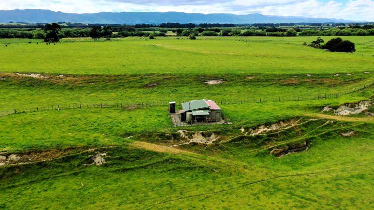 253 Oringi Road Dannevirke_13