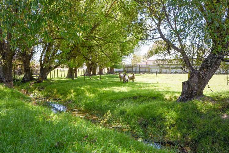 50 Lincoln Road Carterton_18