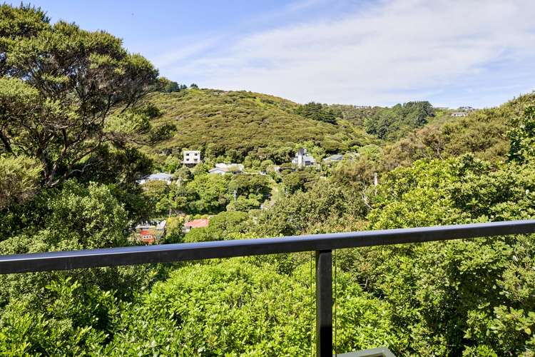 46 Gordon Road Plimmerton_14