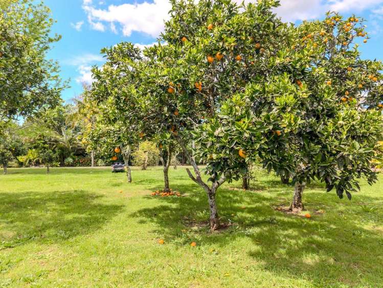 18A Riddell Road Kerikeri_7