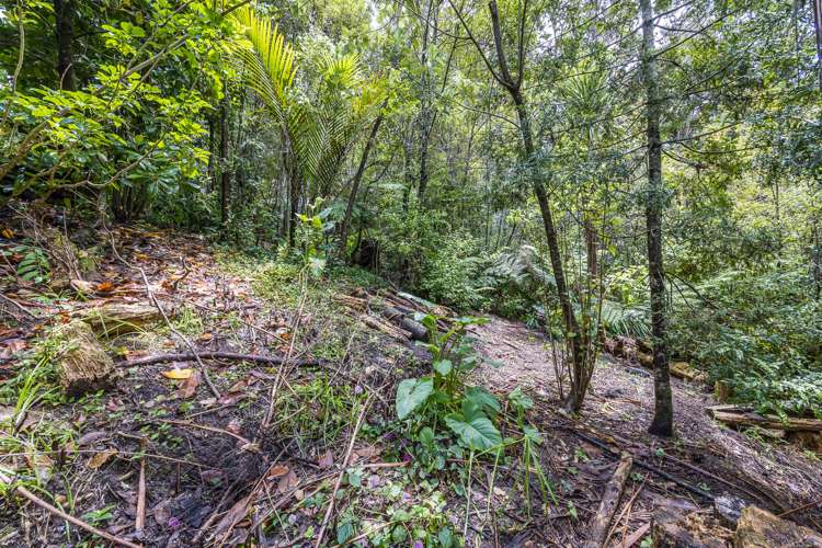 4a Puketitiro Street Glen Eden_25