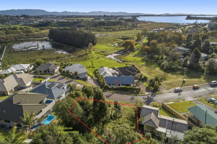 46 Graham Place Bellevue_5