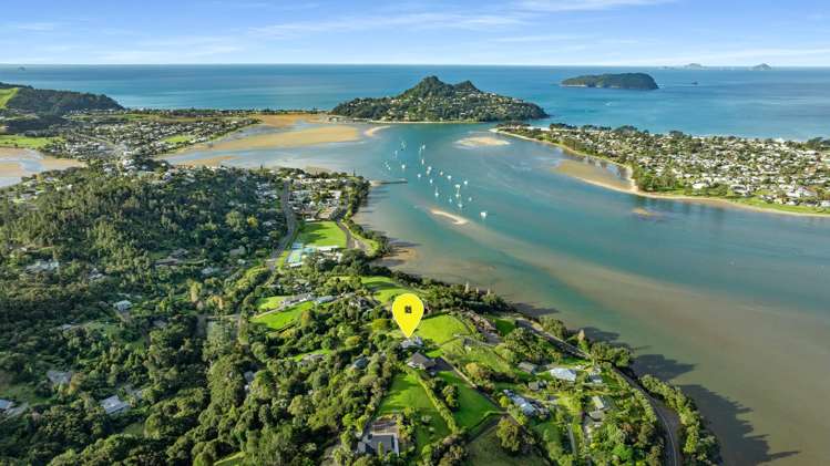25 Rewa Rewa Valley Tairua_24