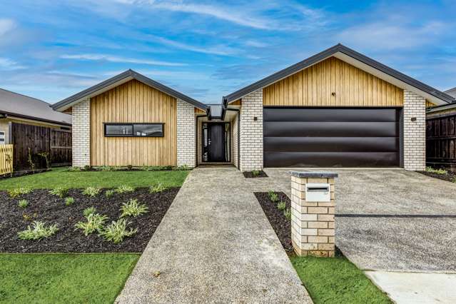 16 Harp Street Morrinsville_1