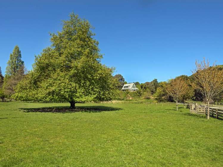 312 Matokitoki Valley Road Matokitoki_8