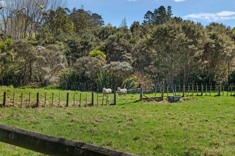 37 Pomona Road Kumeu_31