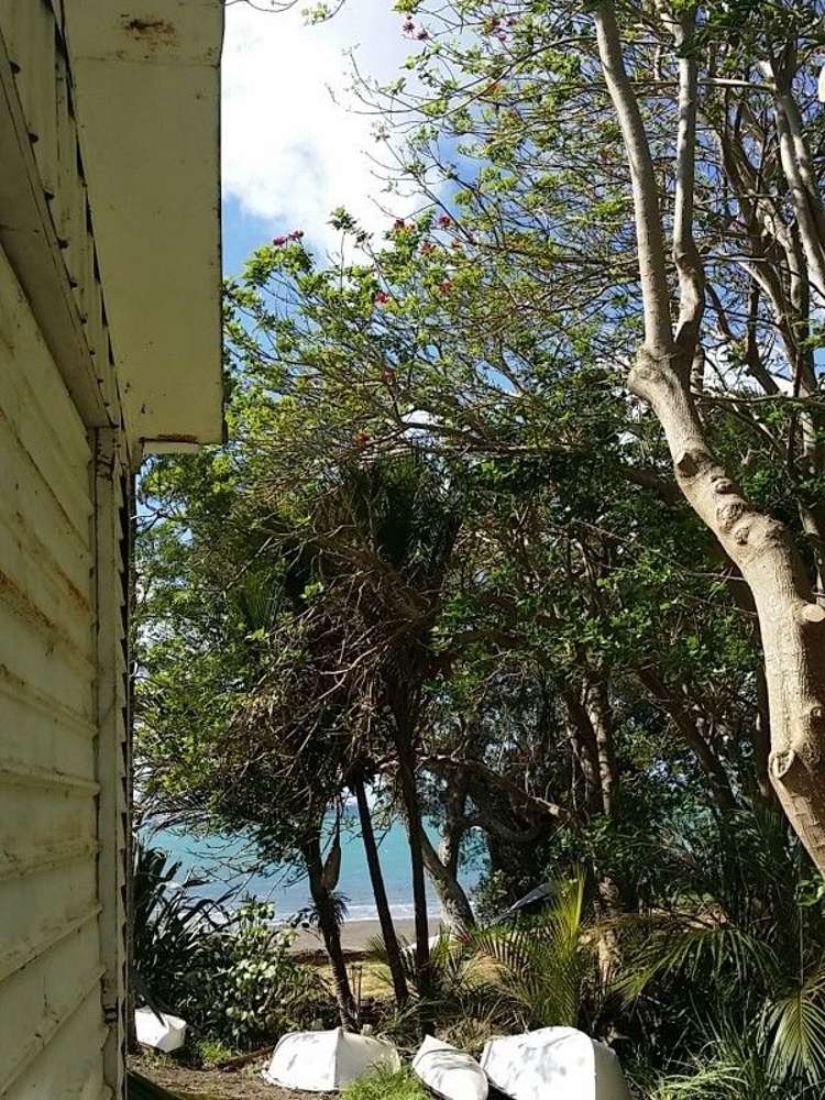 71 Buckleton Road Tawharanui Peninsula_7