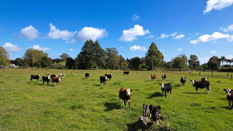 31 Ludbrook Road Pakaraka_25
