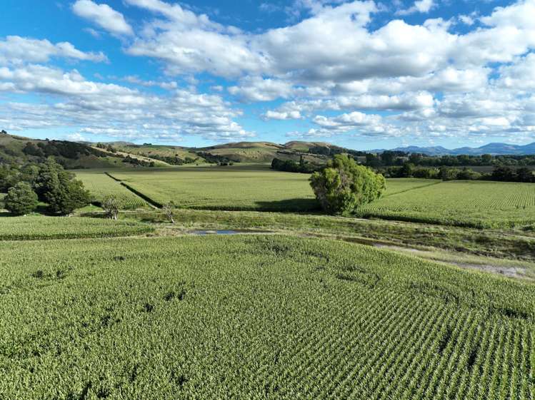 429 Riverside Road Martinborough_14