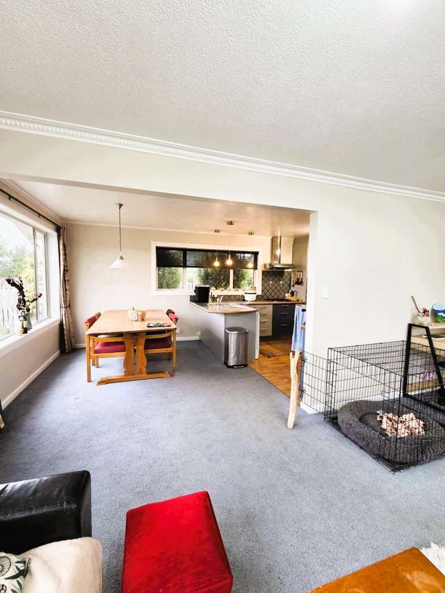 228 Horndon Street Darfield_4