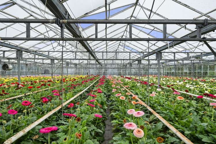 36A Horotane Valley Road Heathcote Valley_13