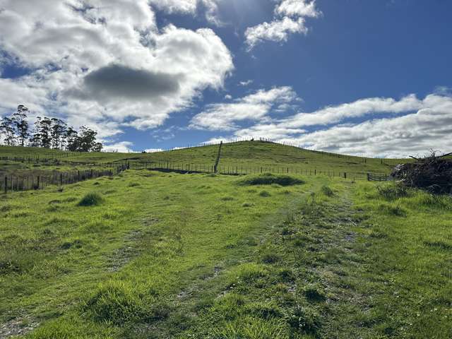 Lot 1 Donald Rd Kaitaia_1