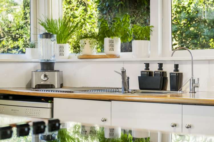 7 Cronin Place Beach Haven_3