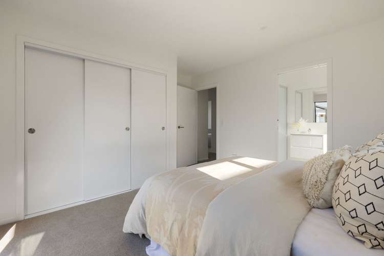 51b Hall Street Kihikihi_11