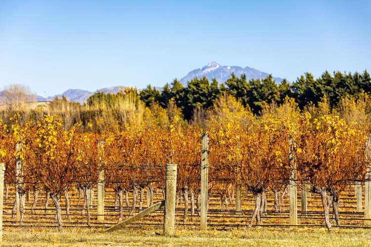 1523 Redwood Pass Road Seddon_14