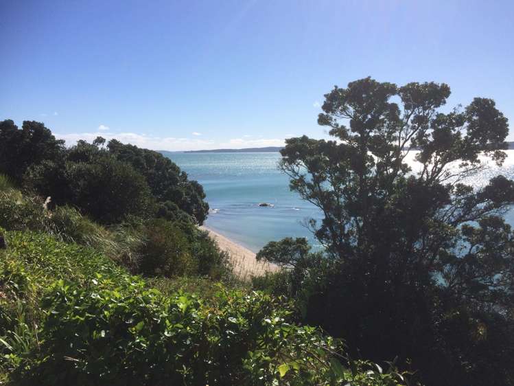 45A Te Pene Road_3