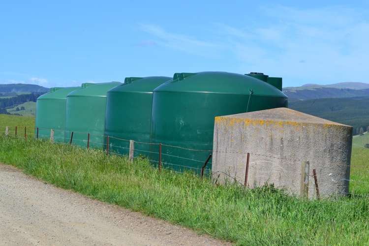 600 Island Stream Road Five Forks and Surrounds_13