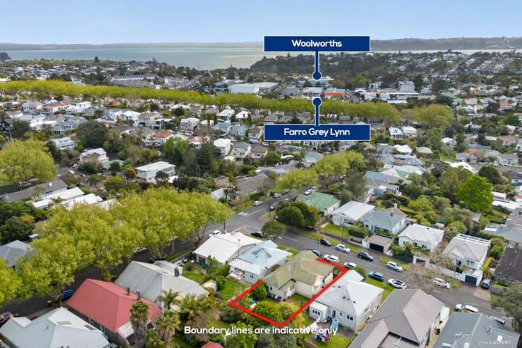 29 Allen Road Grey Lynn_17
