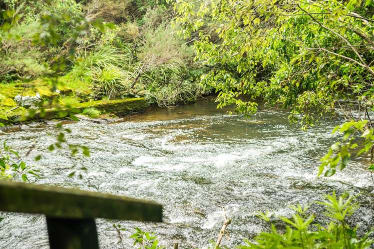 1880 State Highway 10 Kerikeri_34