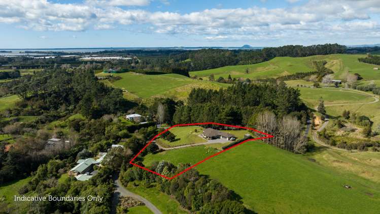 174C Lund Road Katikati_20