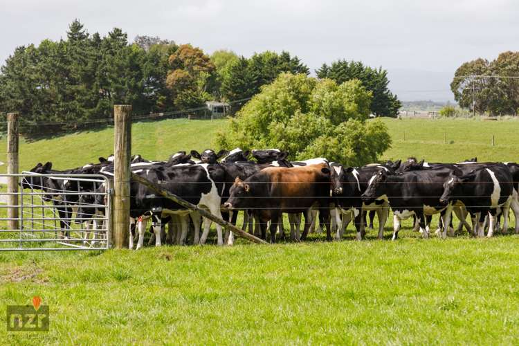 387 Fairfield Road Rongotea_21