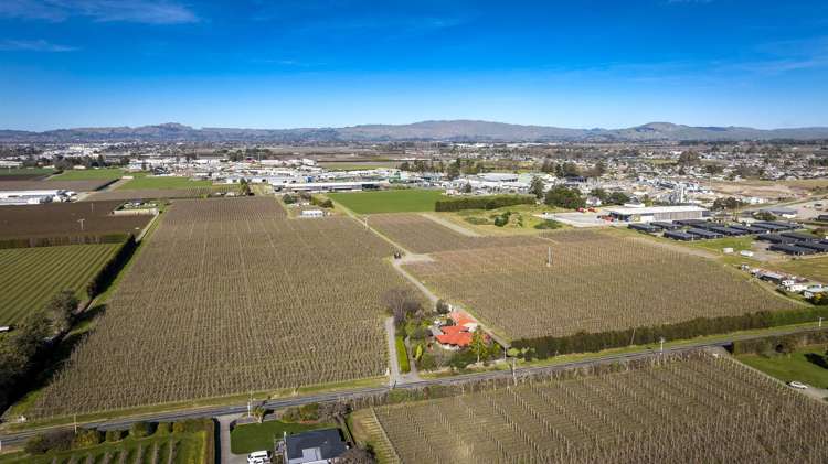 Kiwi Crunch Orchard Portfolio Twyford_20
