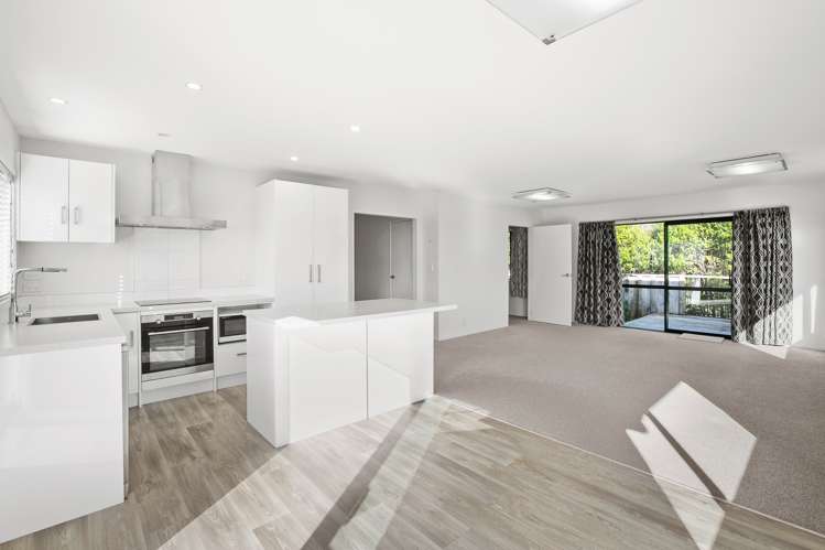 11 Heta Road Highlands Park_5