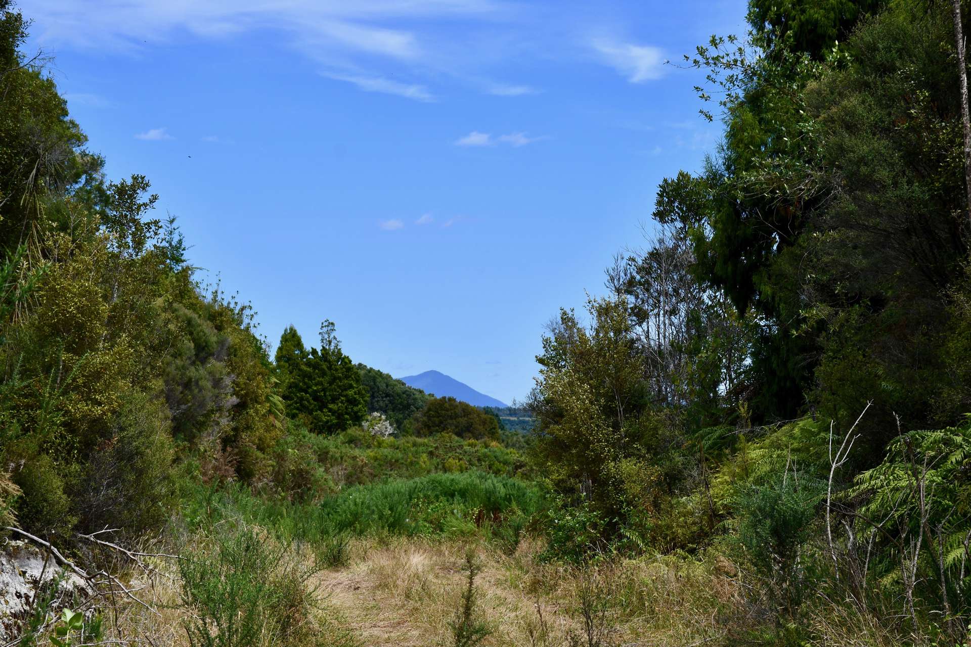 Lot 2 Sunset Heights Road Karamea_0