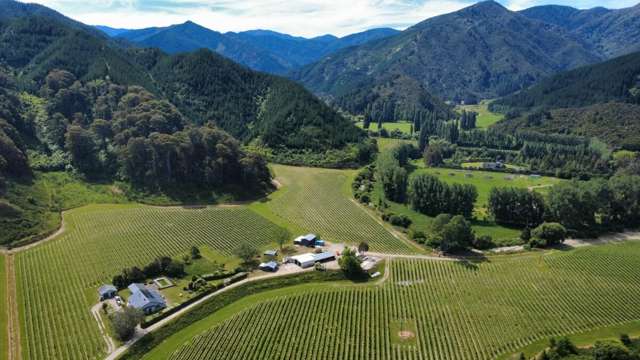 596 Kaituna Tuamarina Road Tuamarina_3