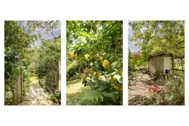 20 Emmerdale Place_4