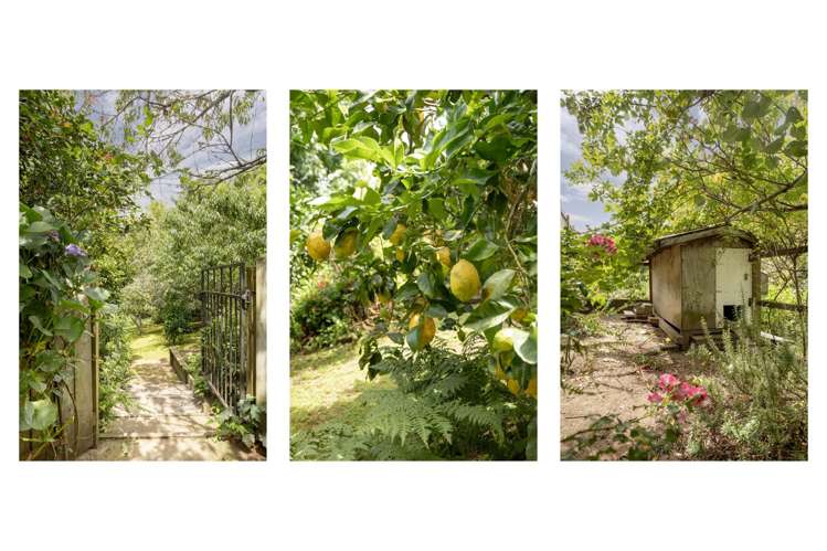 20 Emmerdale Place Ohauiti_4