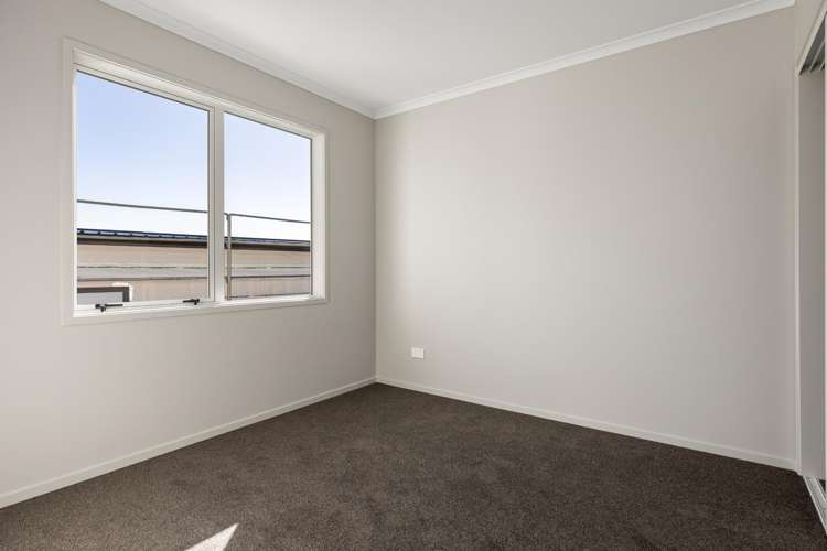 Riapeti Rise Puna Rua_20