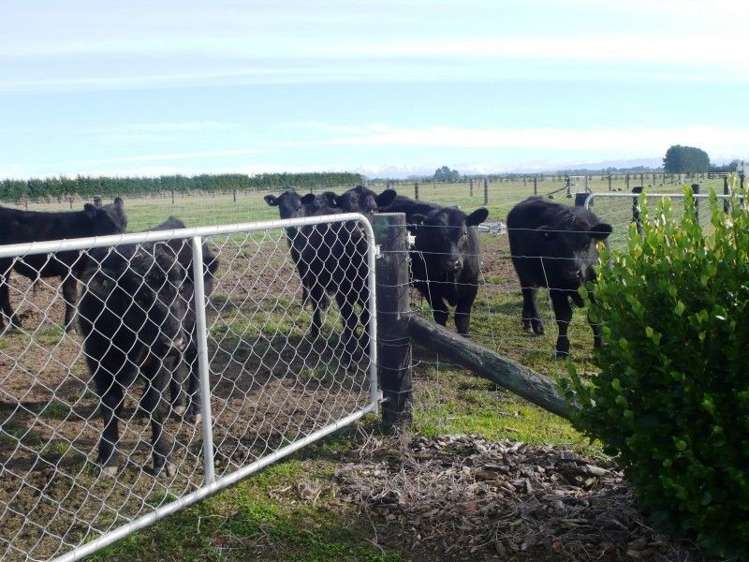 222 Newtons Road Rolleston_11