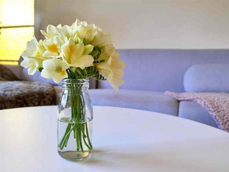 53 Matipo Road Te Atatu Peninsula_15