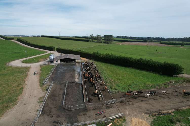 150 Hedgehope Block Road Hedgehope_10