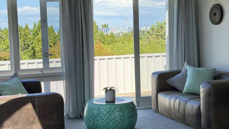 52 Balmain Road Chatswood_12