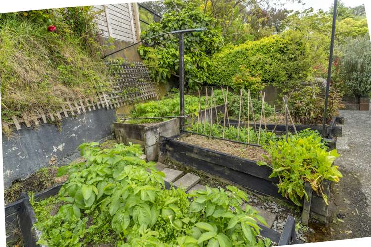 9 Halswater Drive Churton Park_31