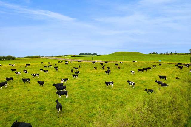 41a Ball Road Kakaramea_1