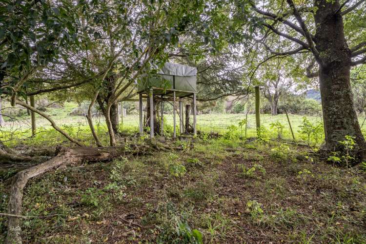 250 Horsfall Road Mesopotamia_5