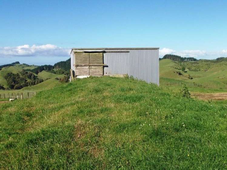 446 Stanley Road Te Popo_53