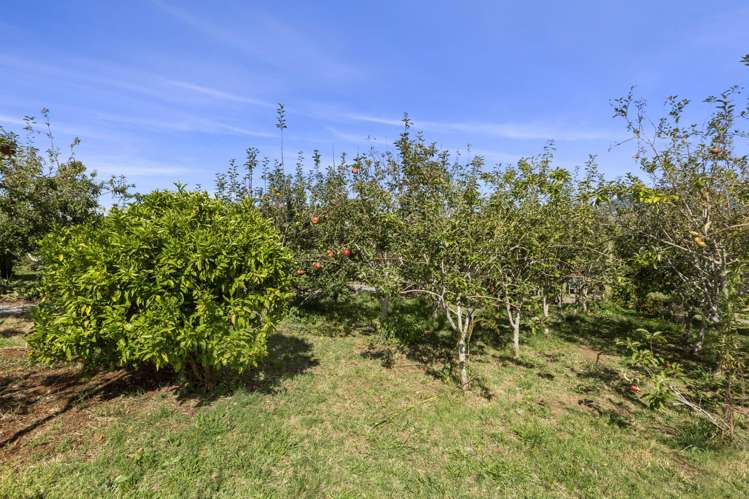 11 Somerset Lane Raglan_14