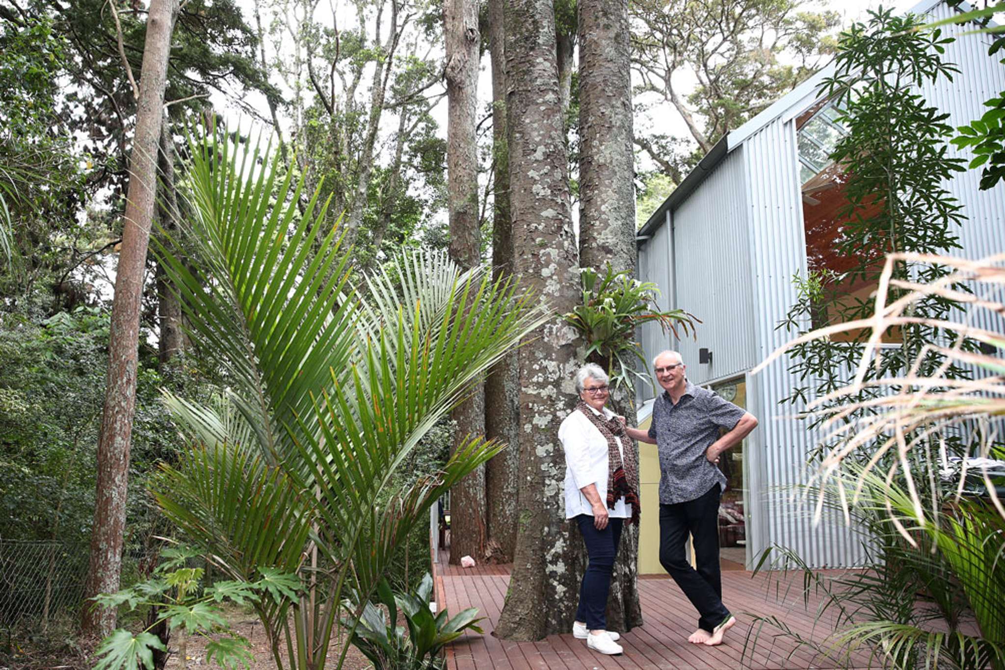 ‘Tomboy’ who wanted treehouse is living the dream