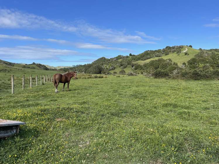 851 Awamate Road Frasertown_16