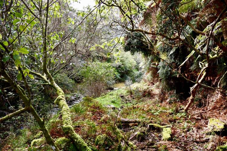 904 Karamea Kohaihai Road Karamea_27