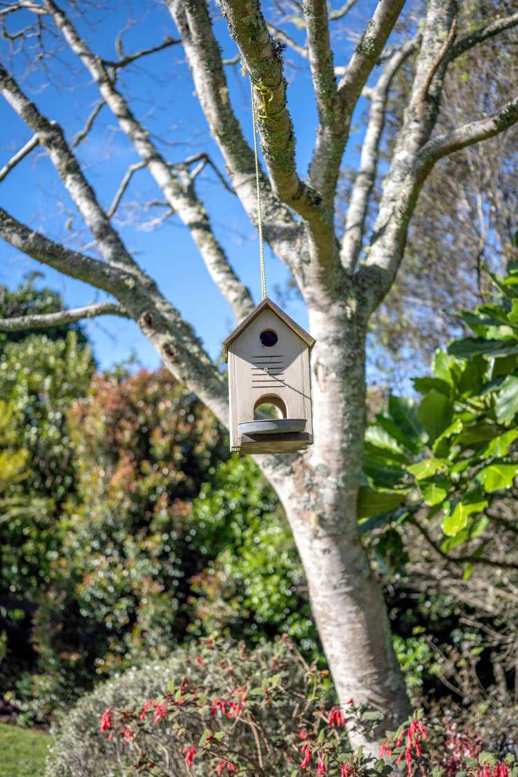 12 Tiffany Close Totara Park_63