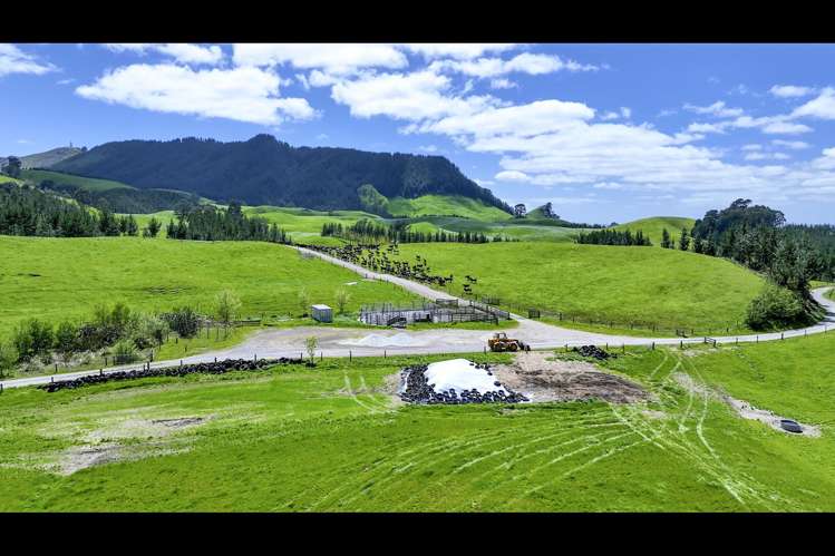 Korako Road Taupo_22