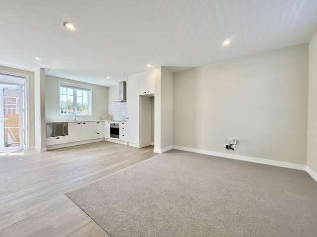 3/17 Dobson Street 10222_4