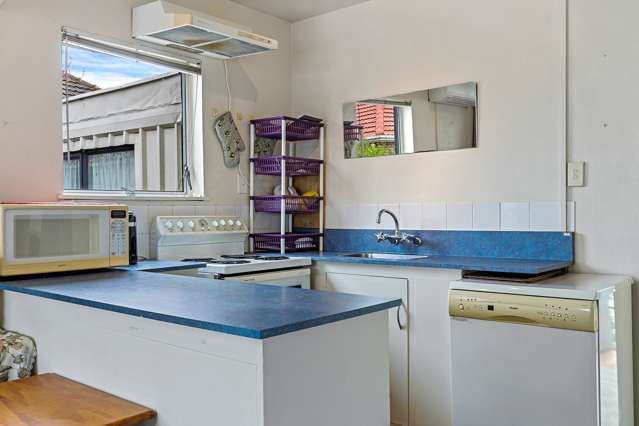 24a Pembroke Street Avondale_2